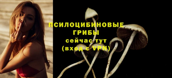 первитин Верея
